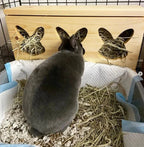 "Triple Bunny Head" Hay Feeder & Litter Box