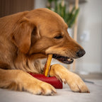 Bully Bunches Bully Stick Safety Holder