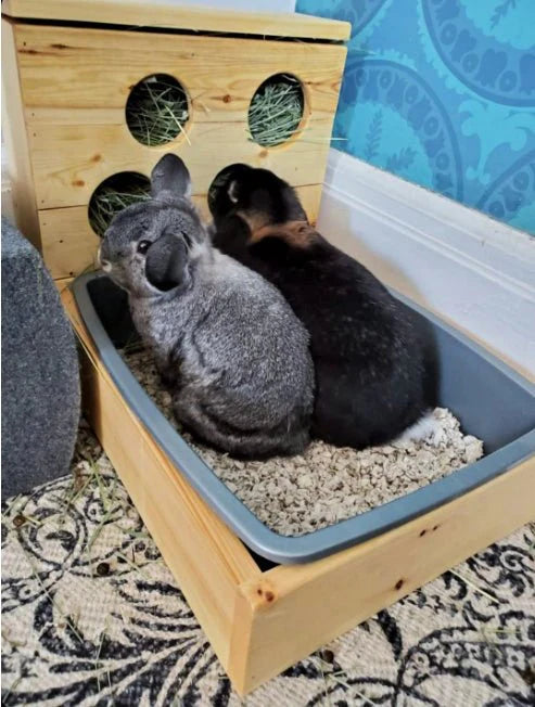 Four Hole Hay Feeder and Litter Box