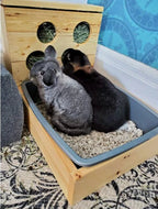 Four Hole Hay Feeder and Litter Box