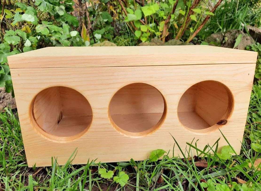 Hay Box for Bunnies & Guinea Pigs