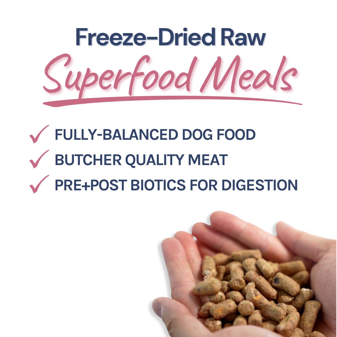 Freeze-Dried Raw Lamb + Salmon Meal Bites