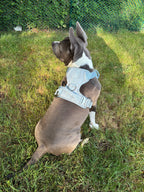 Heavy-Duty Everyday Harness - Baby Blue