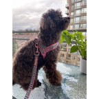 Princess Houndstooth Pink One-Click Dog Harness