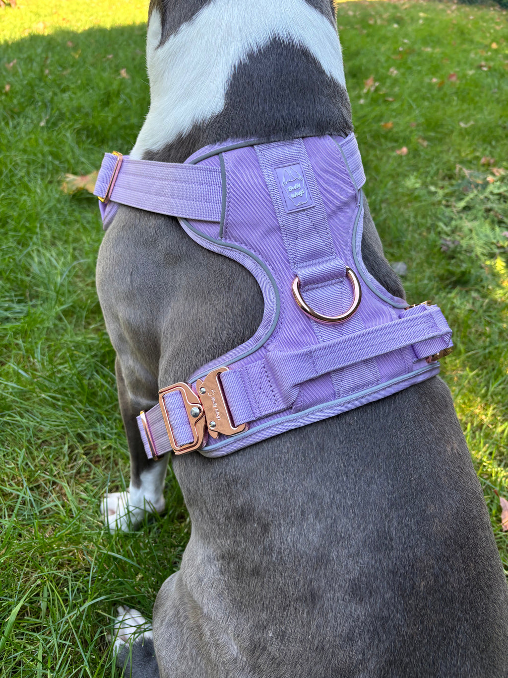 Heavy-Duty Everyday Harness - Lilac