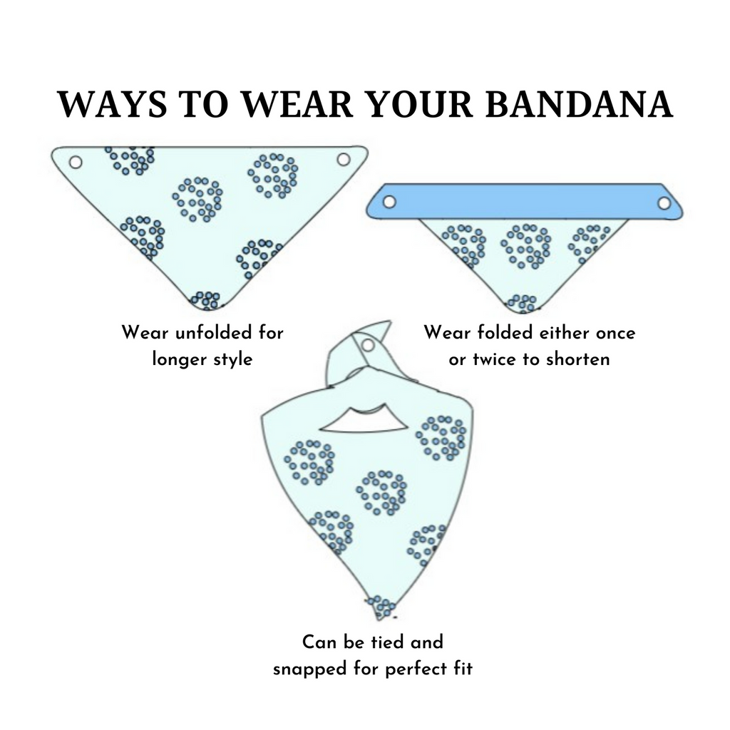 Bark & Main - Apres Ski