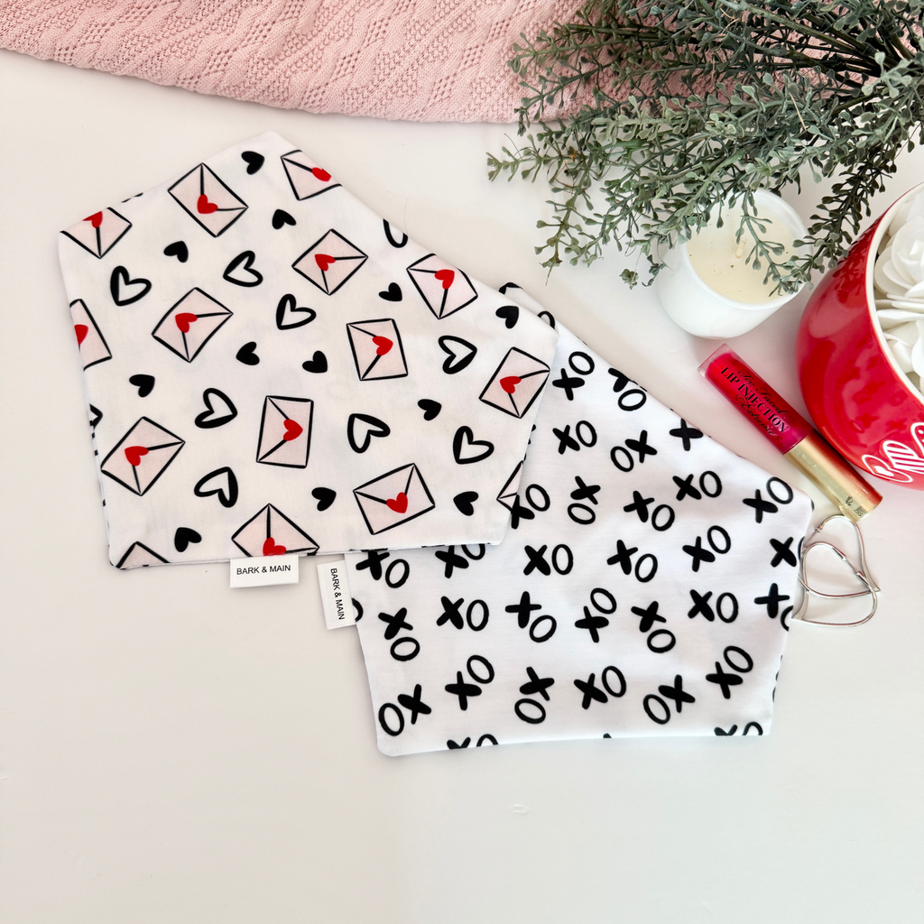 Bark & Main - Valentine Love Letters