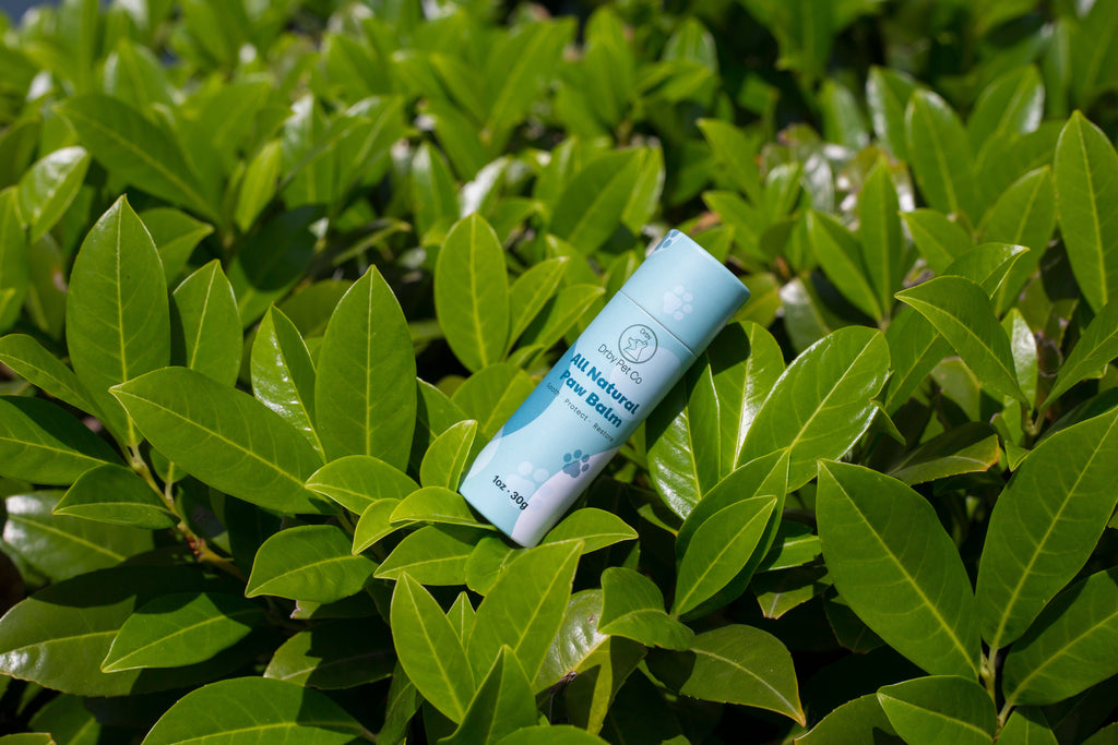 Drby All Natural Paw Balm – 1oz & 2oz