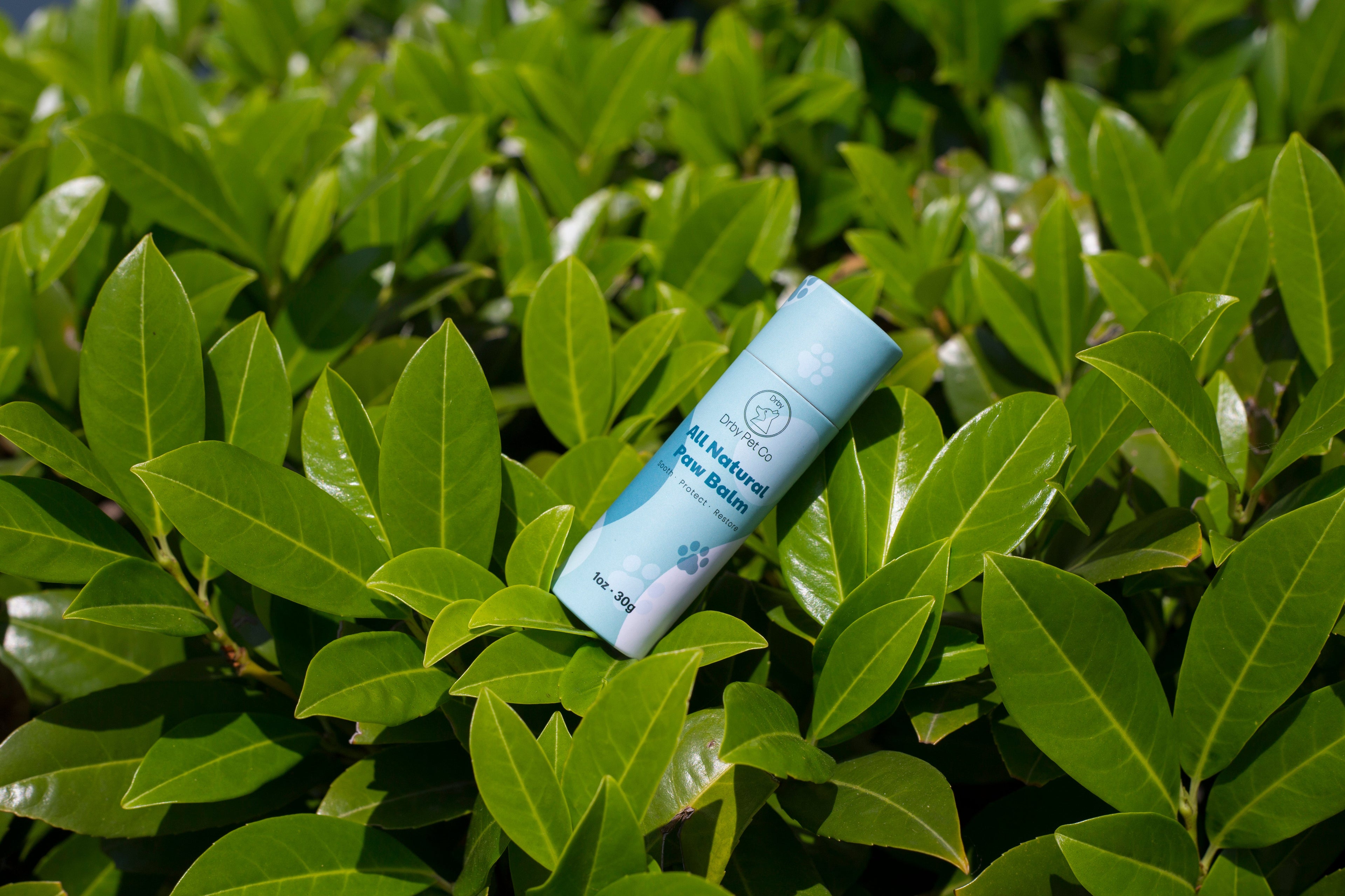 Drby All Natural Paw Balm – 1oz & 2oz