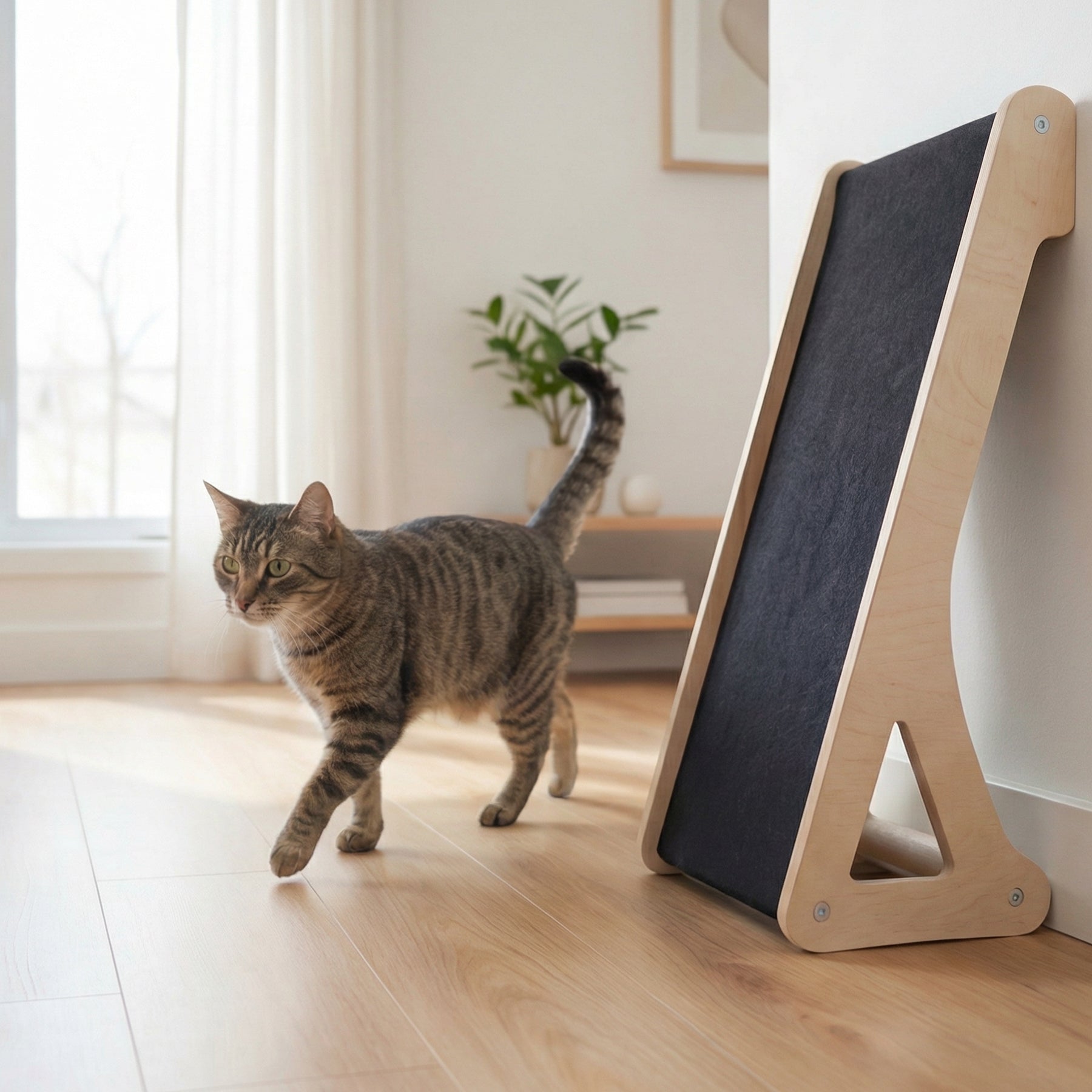 modern cat scratcher Canada, cat furniture BC