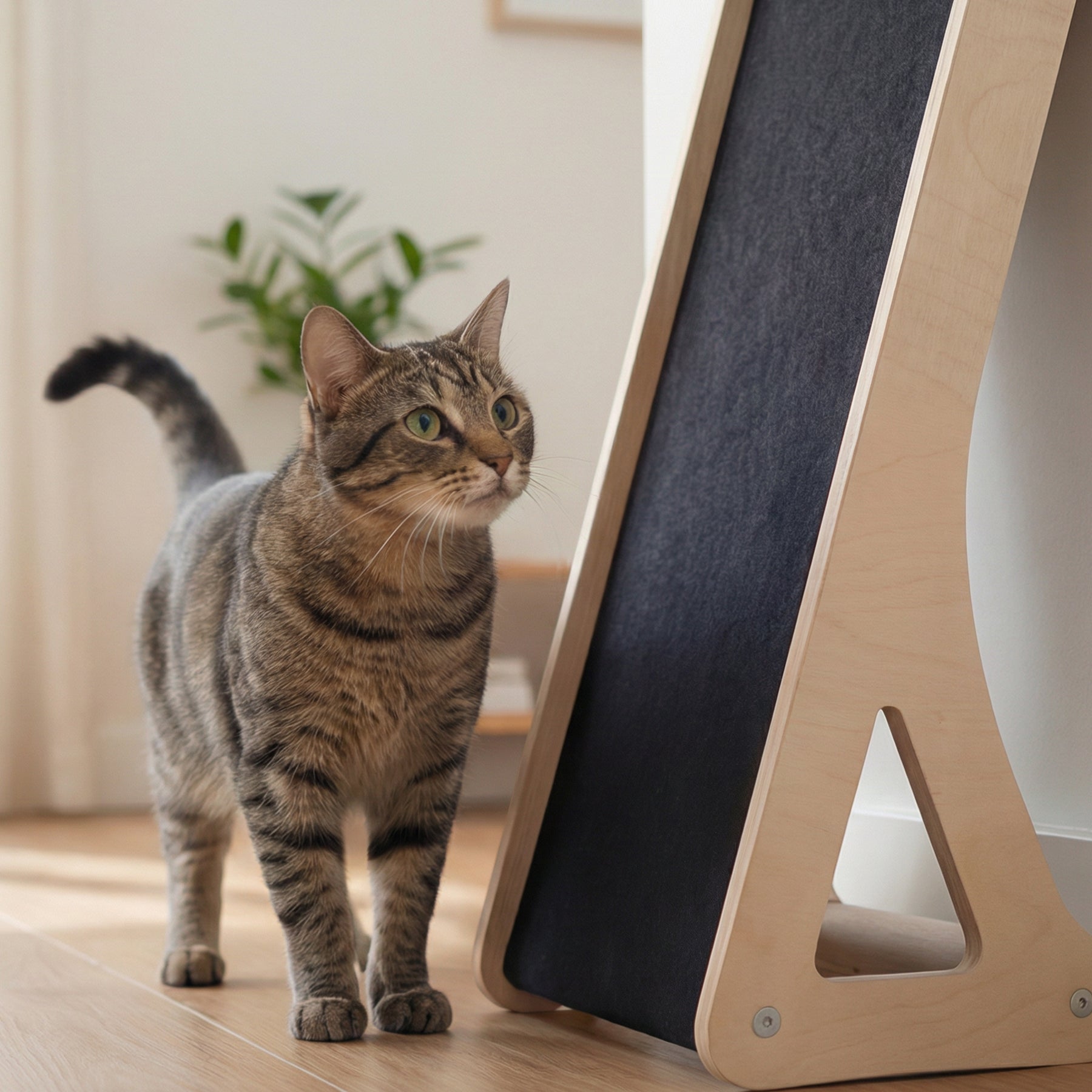 modern cat scratcher Canada, cat furniture BC
