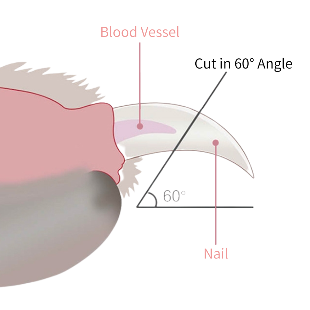 LED Nail Clipper for Cats & Dogs