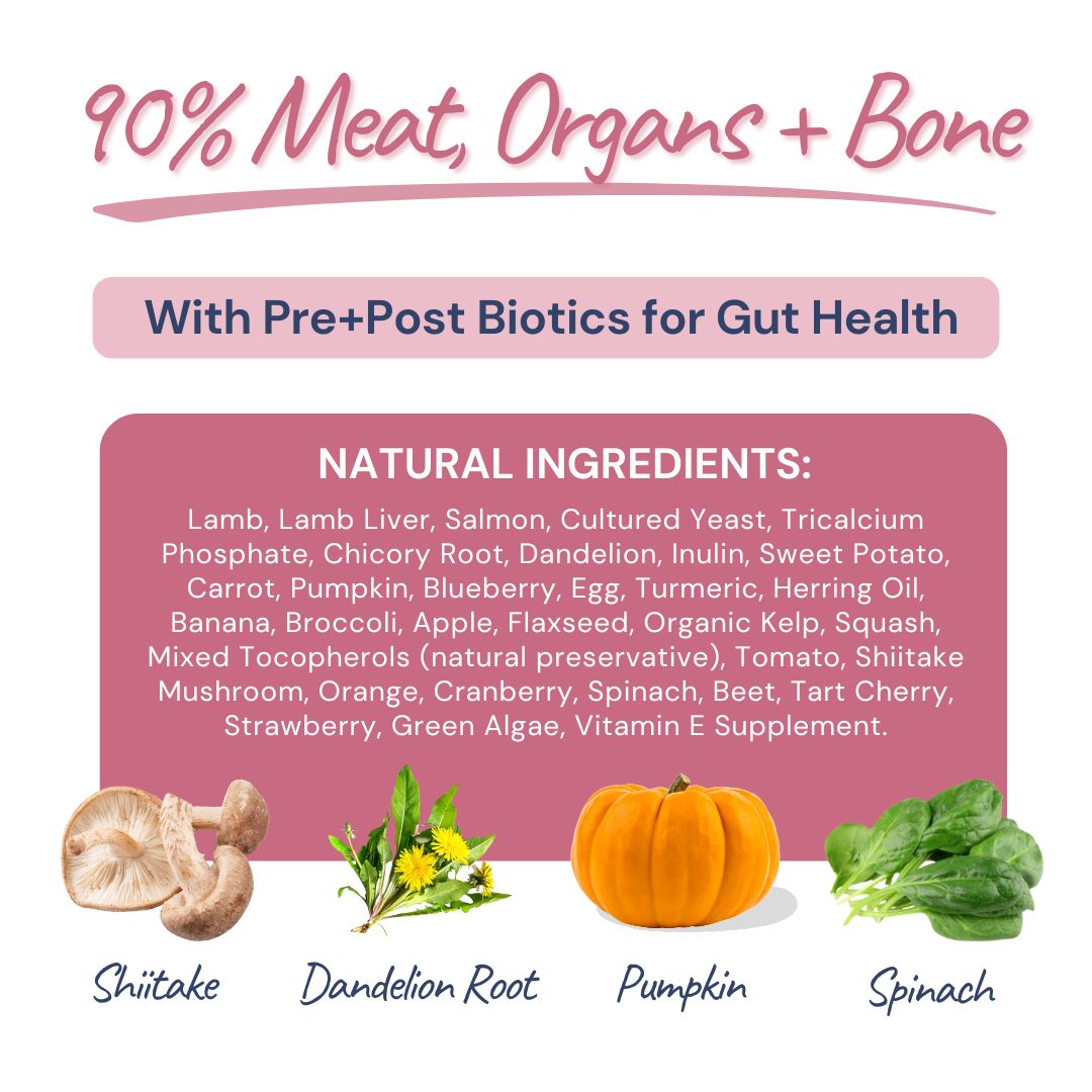 Freeze-Dried Raw Lamb + Salmon Meal Bites