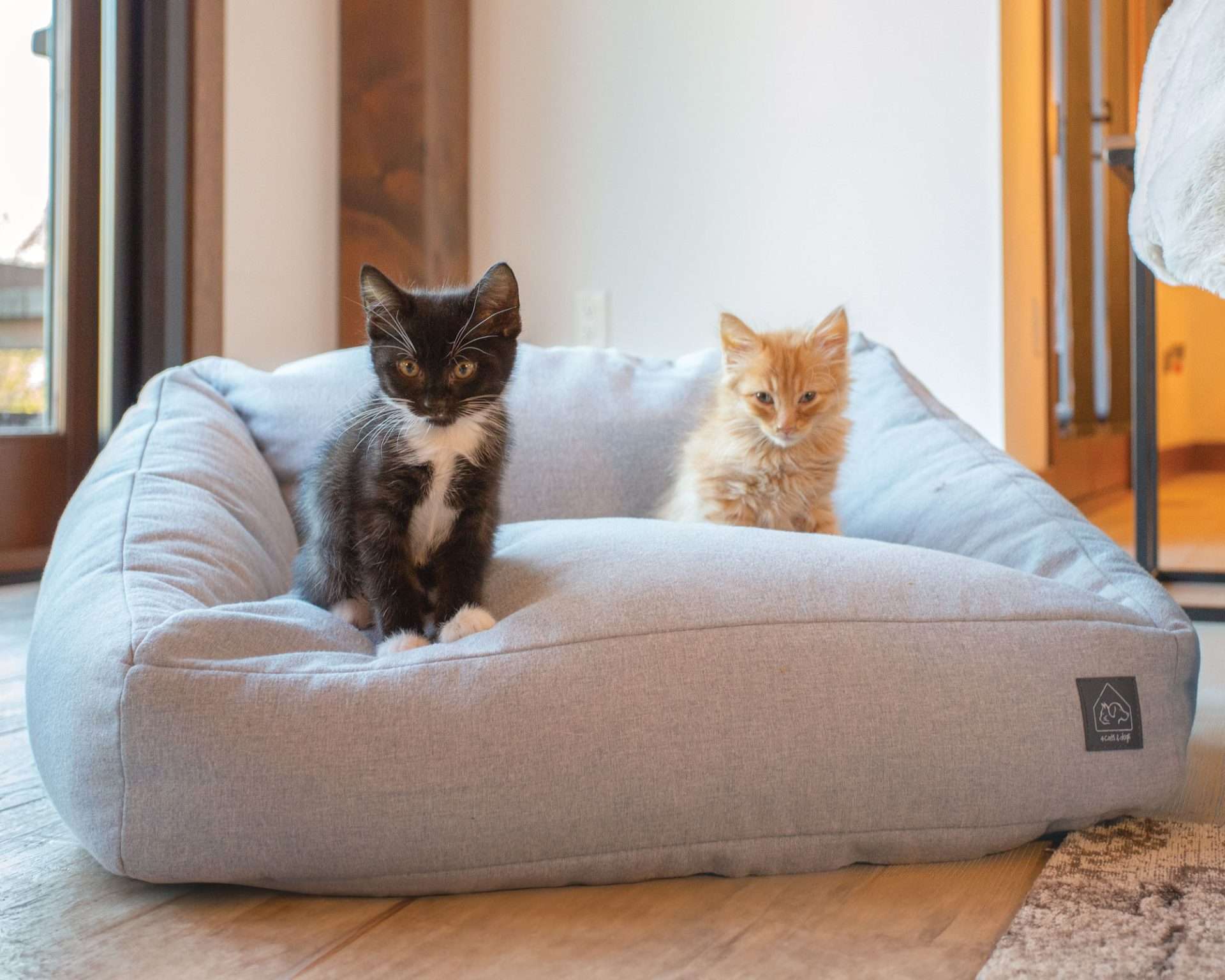 loafer bed