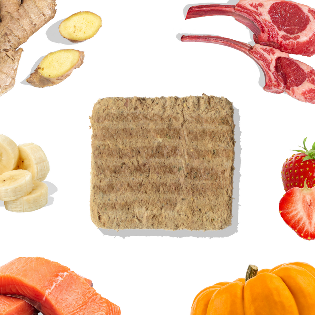 Freeze-Dried Raw Lamb+Salmon Meal Patties