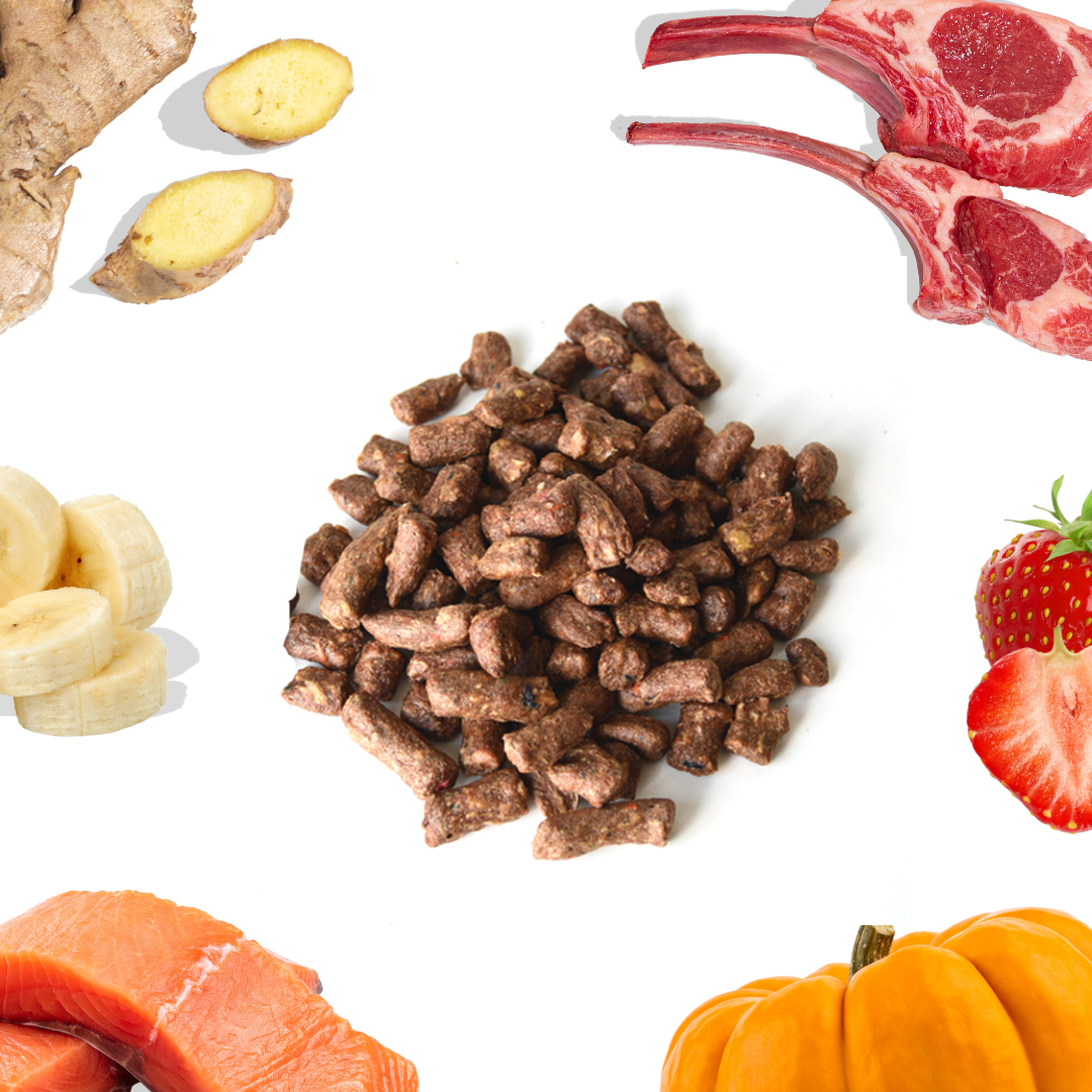 Freeze-Dried Raw Lamb + Salmon Meal Bites