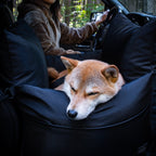 marco XL travel pet bed