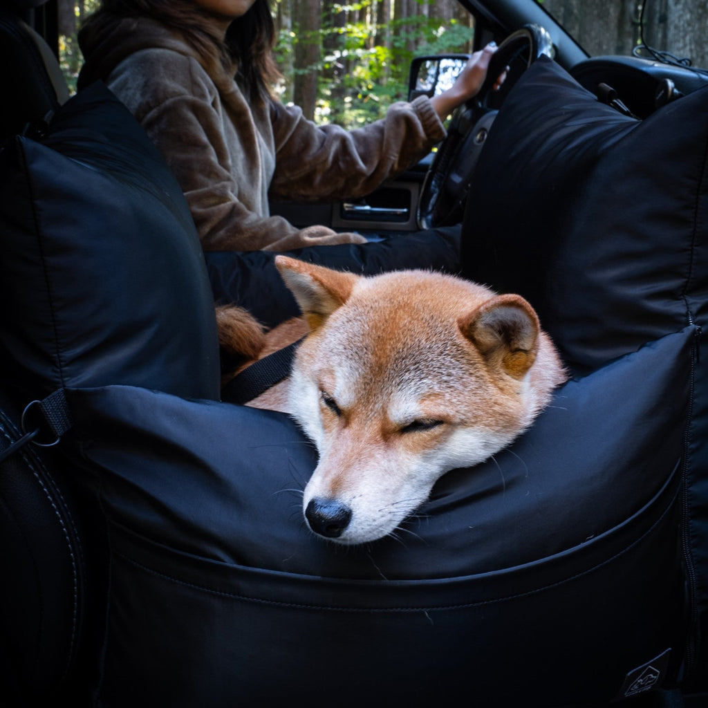 marco travel pet bed