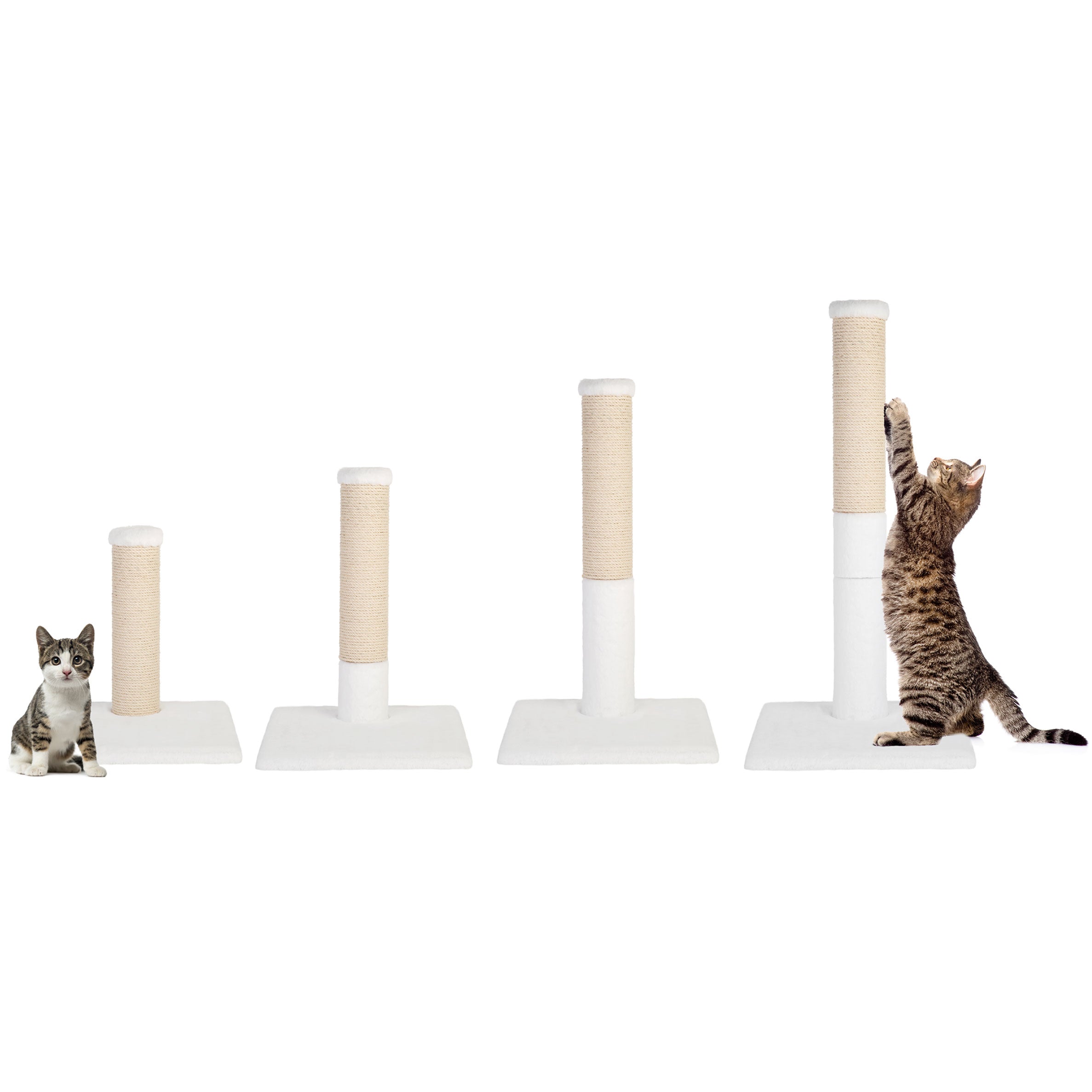 Noba Evolution - 4 in 1 Scratching post