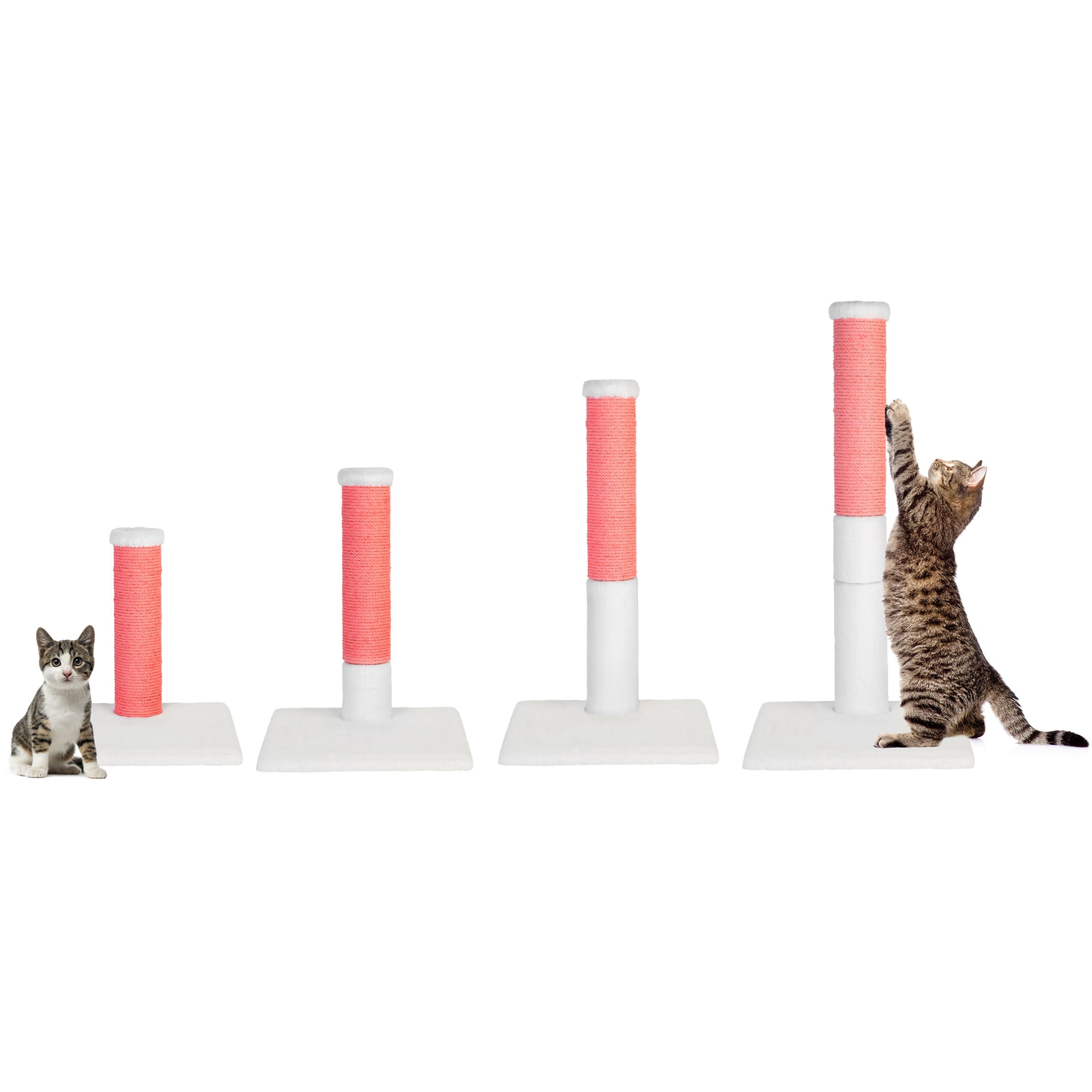 Noba Evolution - 4 in 1 Scratching post