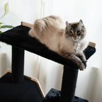 Hexagon House - 4-Level Cat Tree