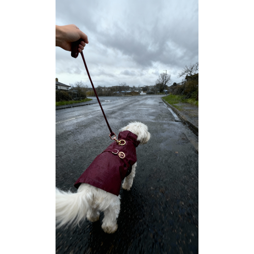 Burgundy Rain Jacket – Waterproof Dog Rain Jacket