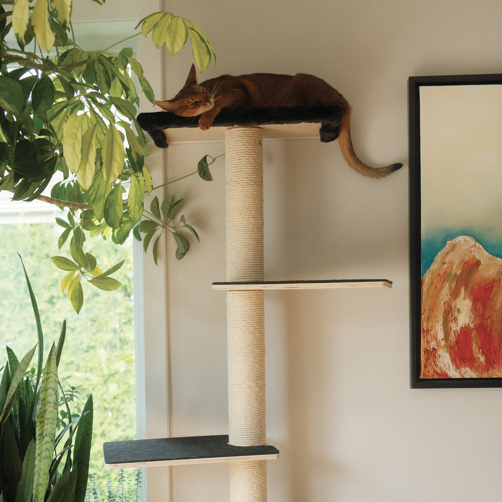 Noba Mural System Kit – The Vertical Playground, 5-Piece Wall-Mounted