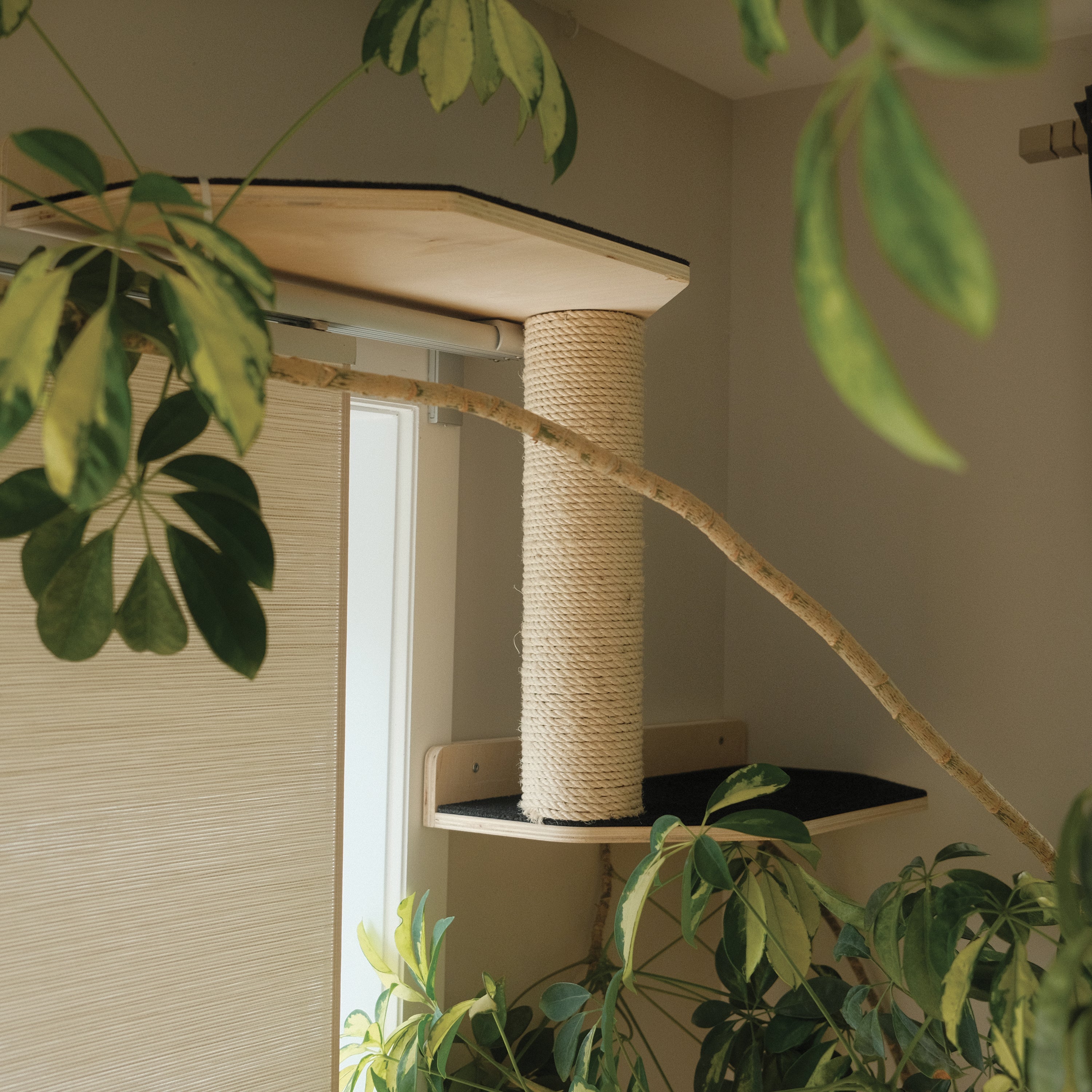 Noba Mural System Kit- The Vertical Playground