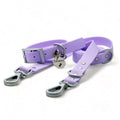 Waterproof Dog Walk Combo – Collar, Leash & Tag