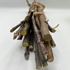 Apple Branch Bundles