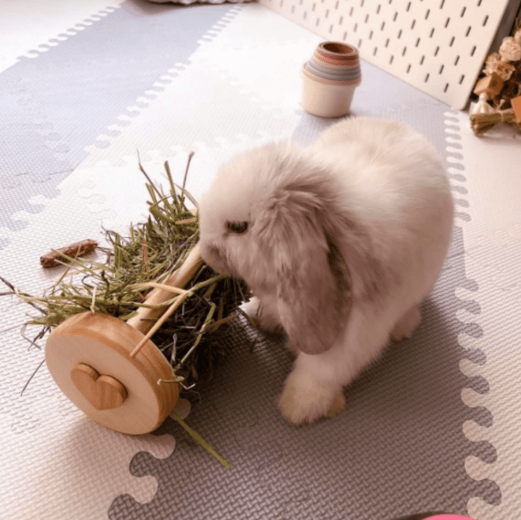 Hippity Hop Small Animal Hay Roller – Handmade Pine Enrichment Toy