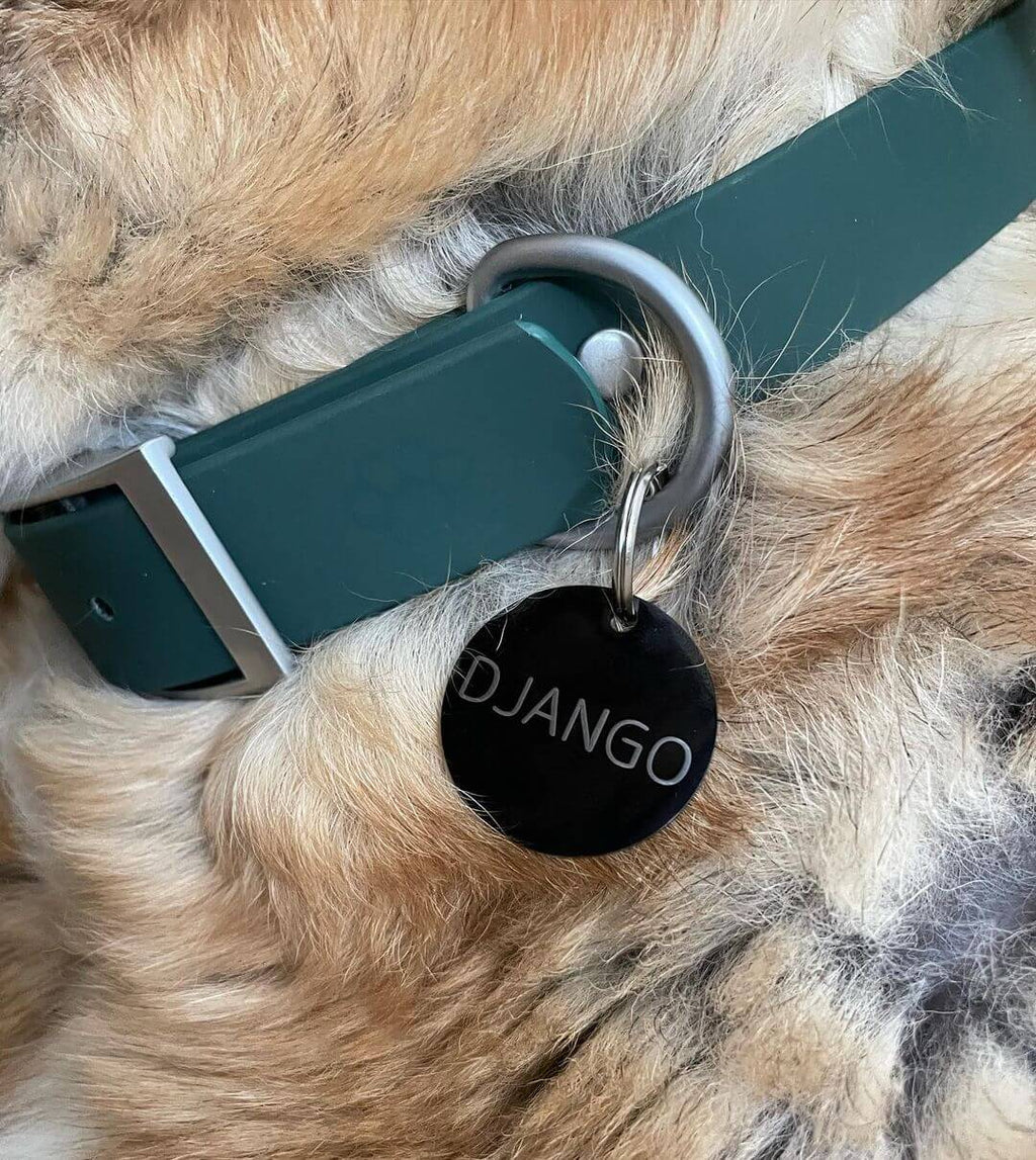 Waterproof Dog Walk Combo – Collar, Leash & Tag