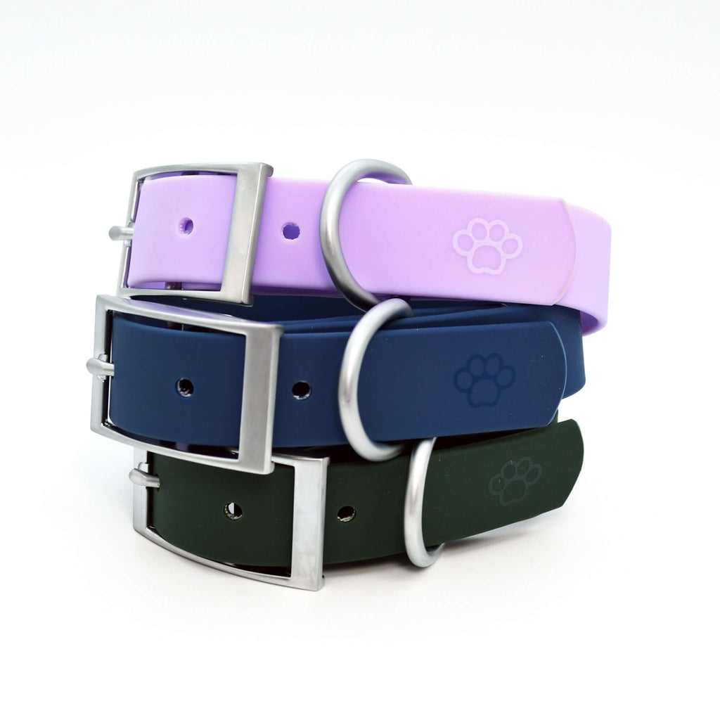 Waterproof Dog Walk Combo – Collar, Leash & Tag