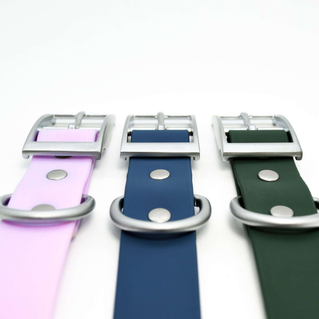 Waterproof Dog Walk Combo – Collar, Leash & Tag
