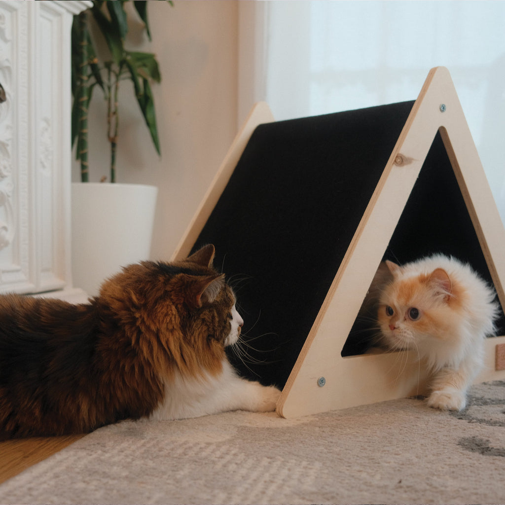 Noba Origin Scratchable  Cat House