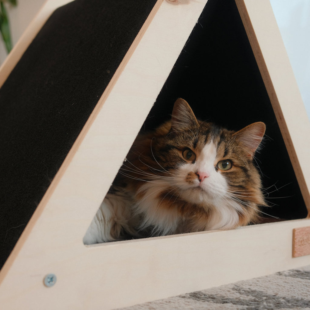 Noba Origin Scratchable  Cat House