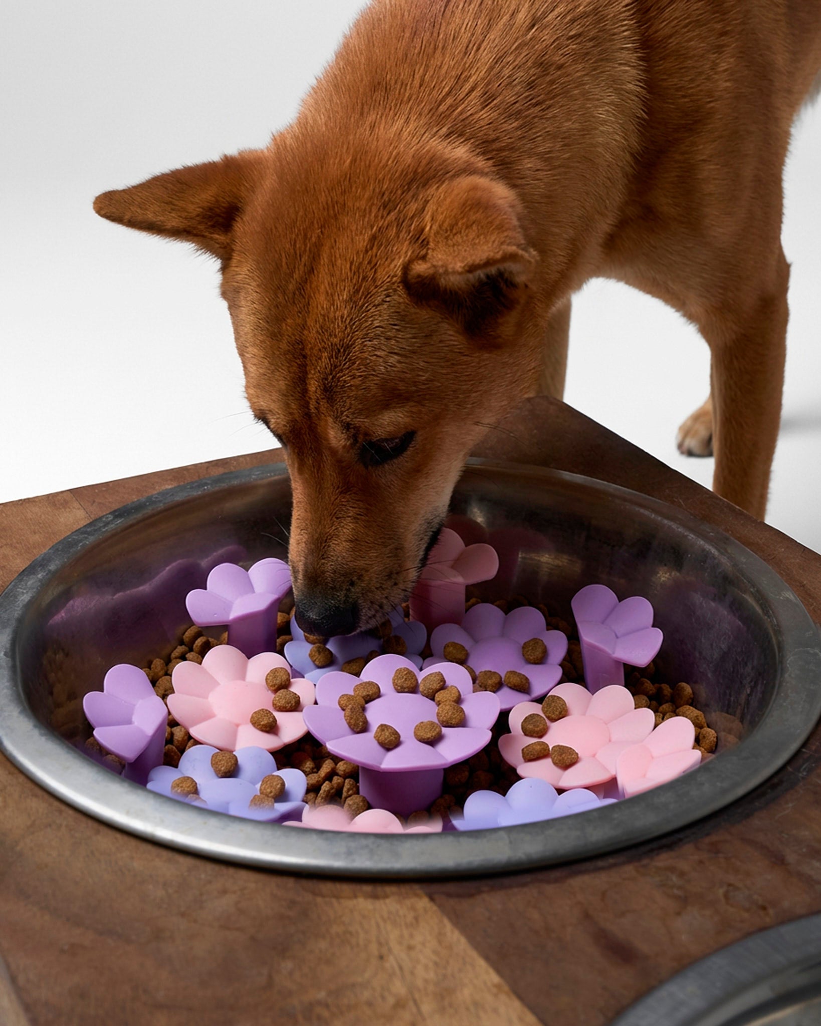 KRWN The Blossom Slow Feeder Insert – Medium