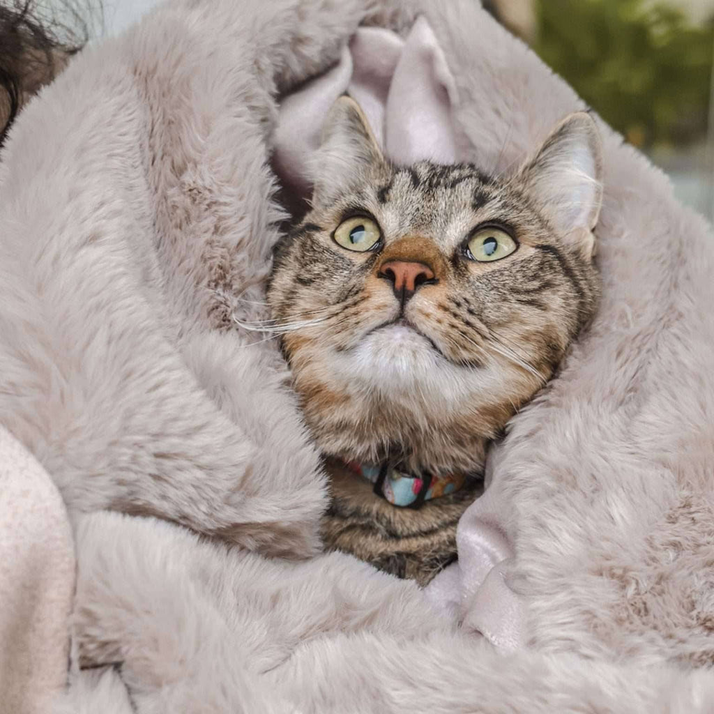 leakproof pet pixie throw