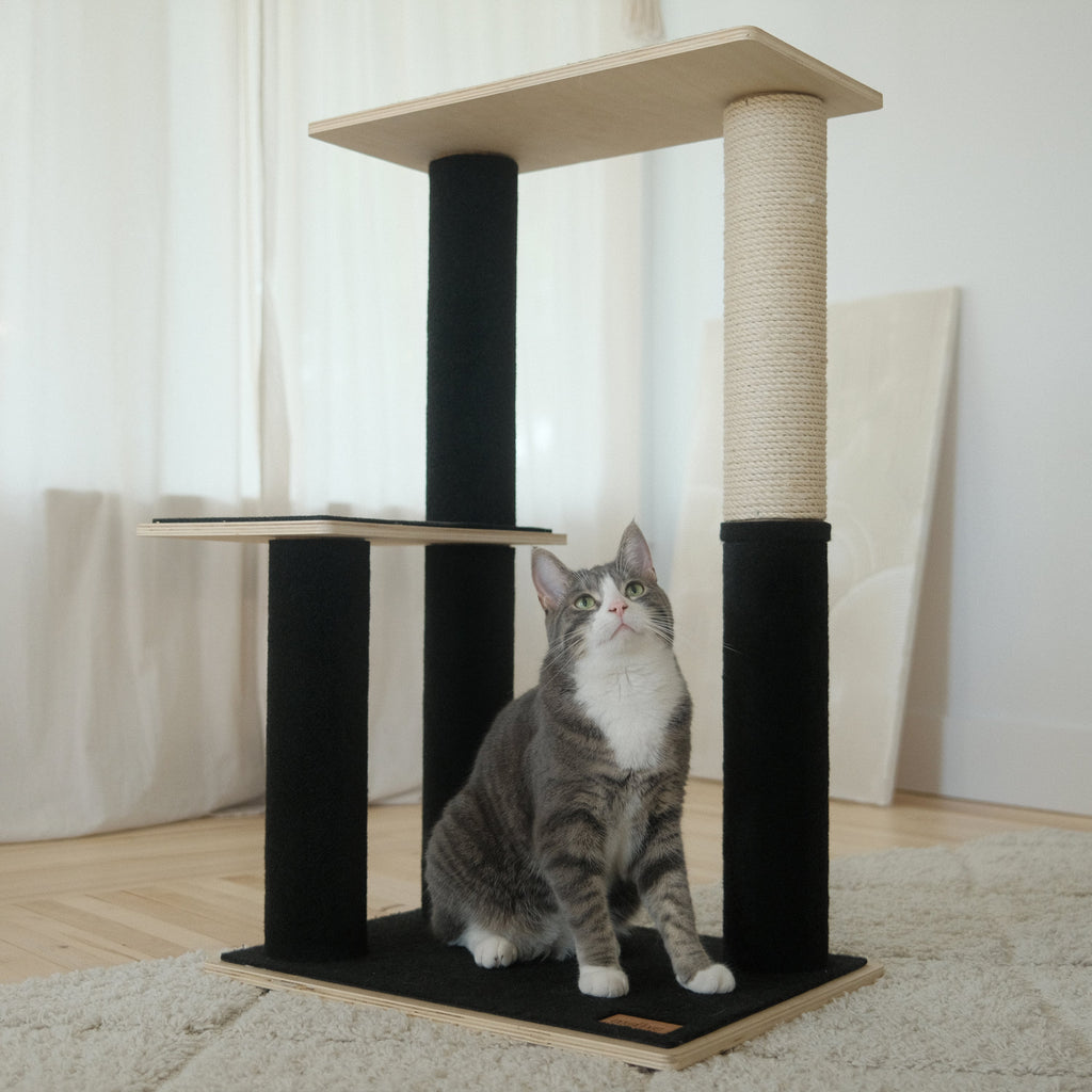 Noba Modern Plywood Cat Tree – 2 Tiers, Fique Rope, Black, White & Grey