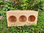 Hay Box for Bunnies & Guinea Pigs
