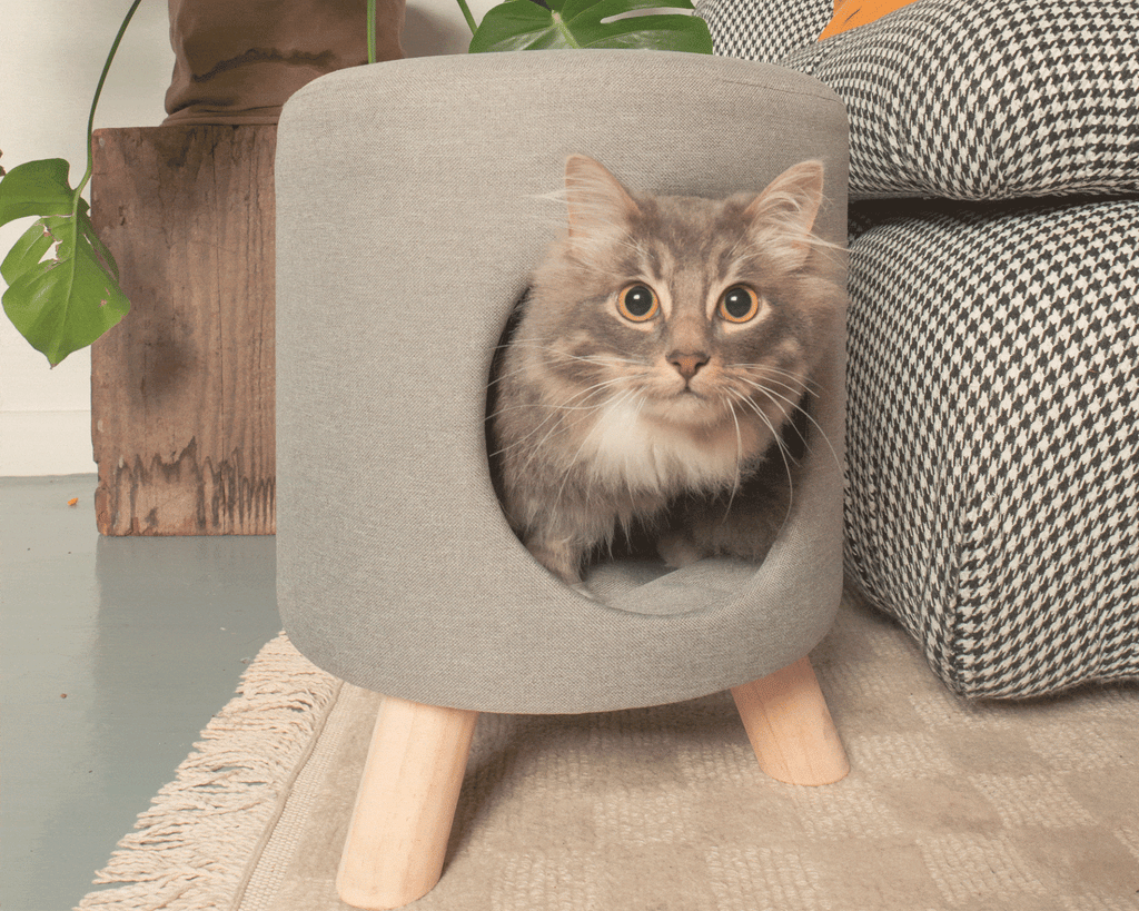 wallie pet stool