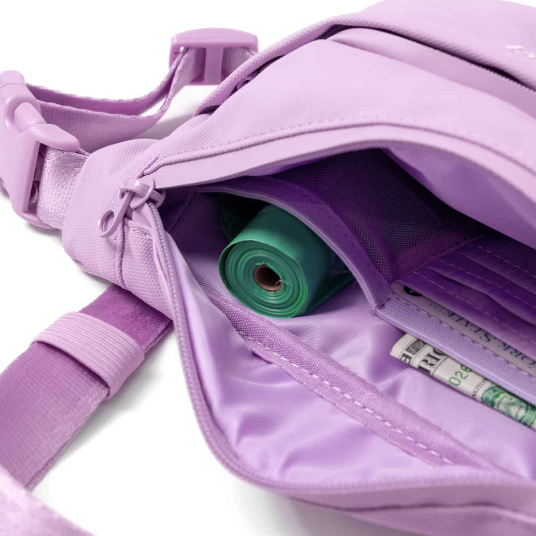 Hands-Free Dog Walking Bag WITH Leash