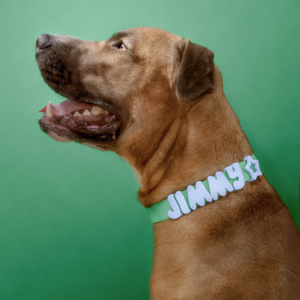 Waterproof & Adjustable Dog Collar - Green