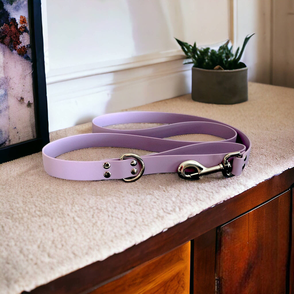 BioThane Dog Leash (5') | (5 options)