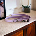 BioThane Dog Leash (5') | (5 options)
