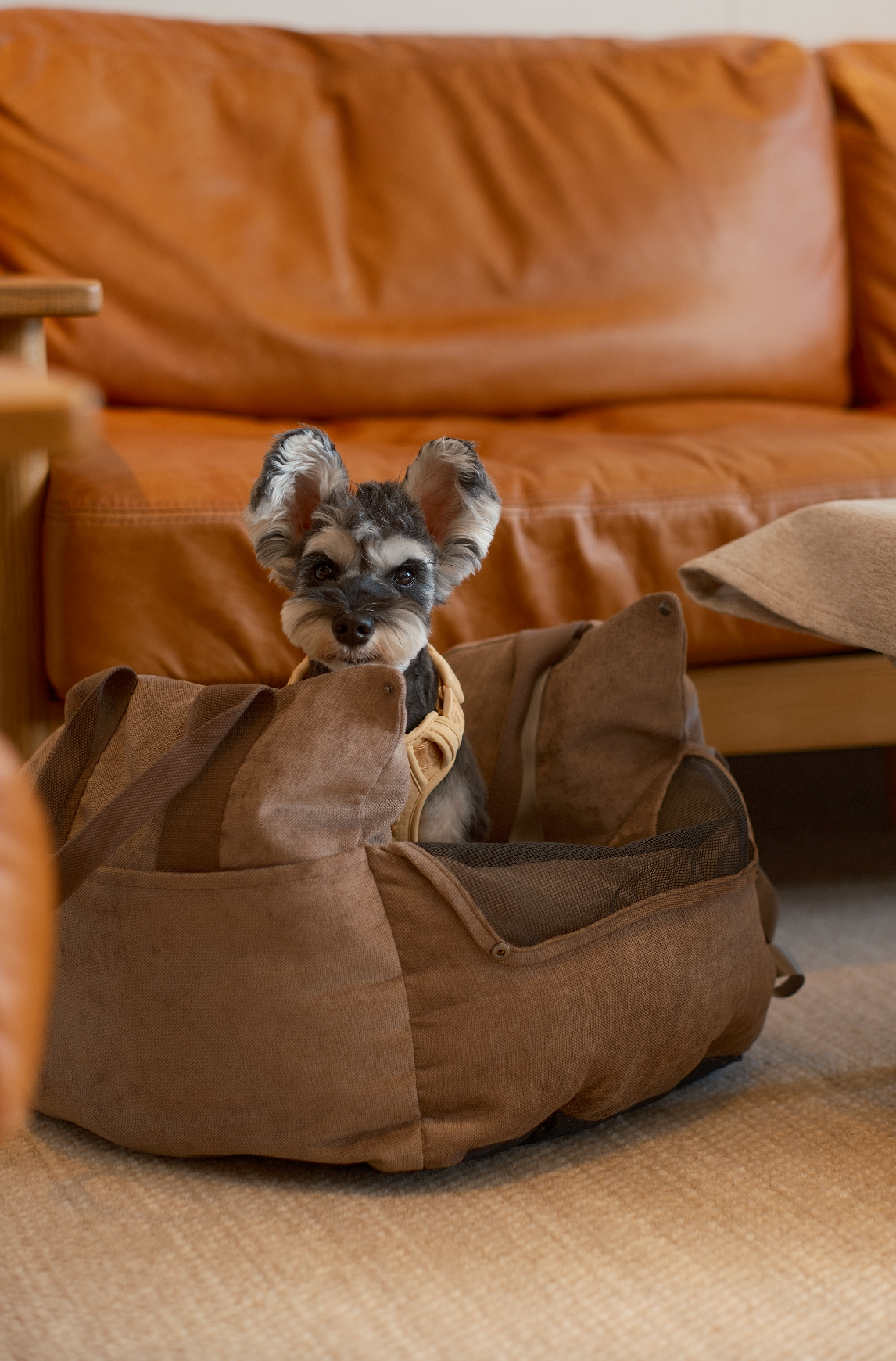 Puff Guard Dog Car Seat - Camel