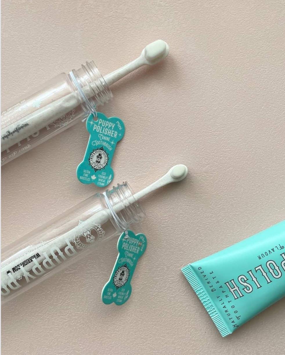 Wag & Bright Supply Co. Puppy Polisher Eco Toothbrush – Pearl (XS)