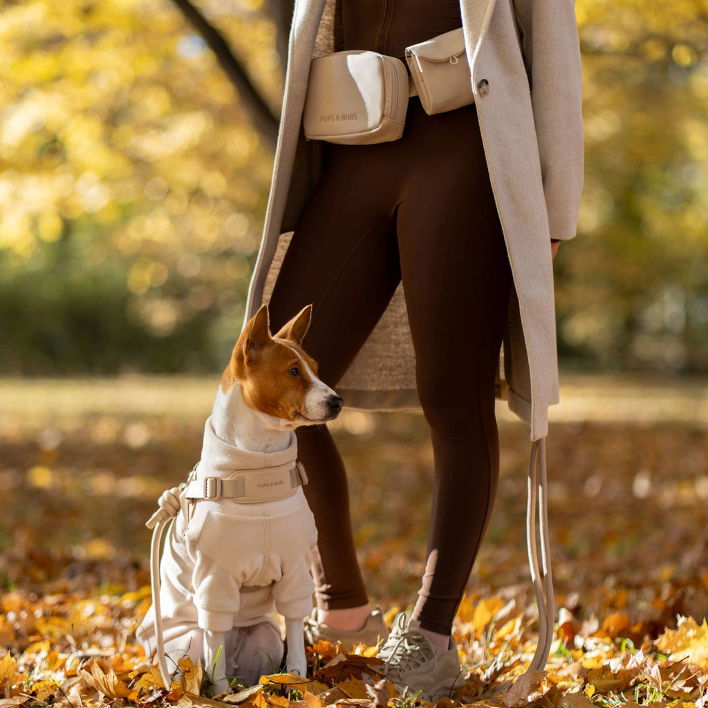 Rover Harness – Sand