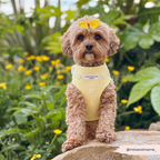 Cocopup London Buttercup Pup Adjustable Dog Harness