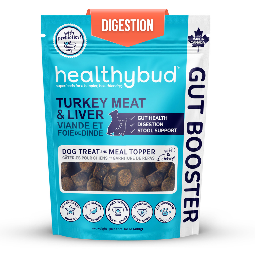 Turkey Gut Booster Dog Treats